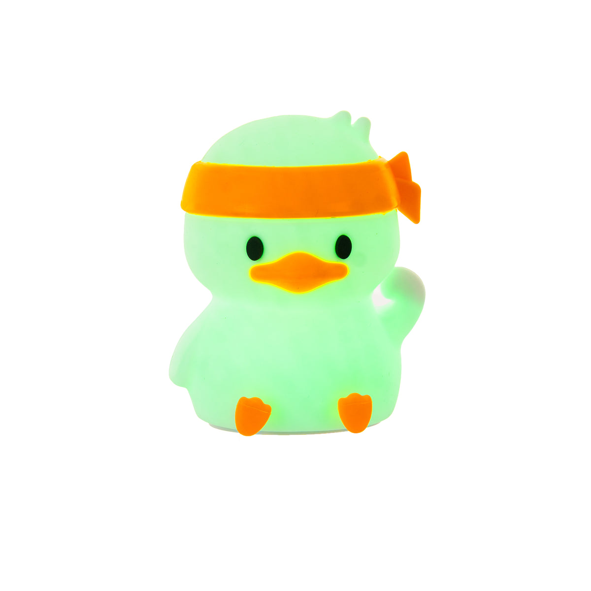Personal Trainer Duck