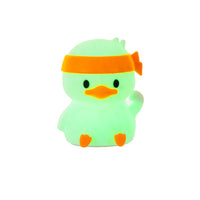 Personal Trainer Duck